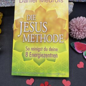Jesus Methode - Daniel Meurois Buch