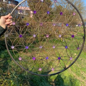 Blume des Lebens - Transformation
