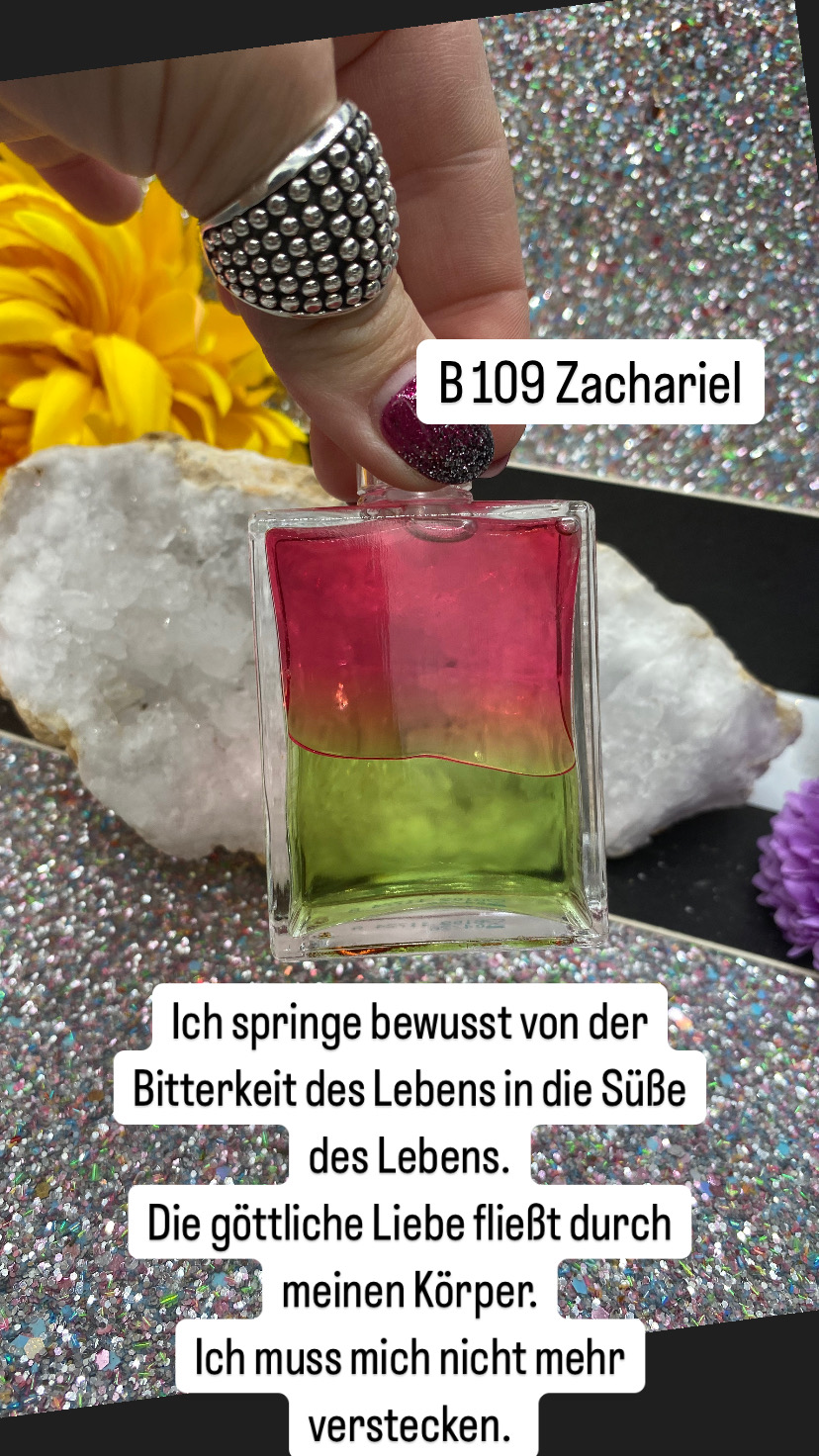 B 109 Zachariel