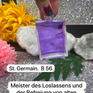 B 56 - St. Germain Equilibrium