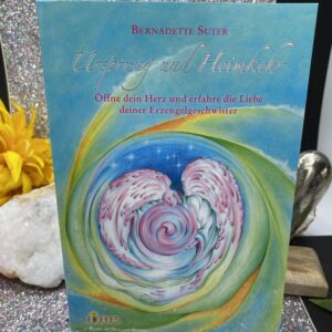 Ursprung und Heimkehr - Bernadette Suter Buch